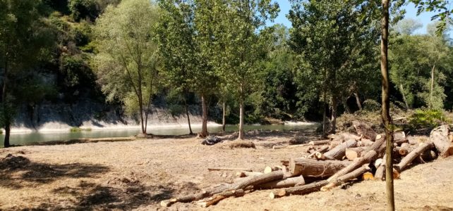 Reunió oberta: Com hauria de ser el bosc de ribera a l’entorn de Borgonyà?